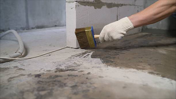 24/7 Emergency Crawl Space Encapsulation experts in Oak Harbor, WA